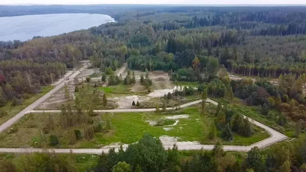 Участок в Ленинградская область, Выборгский район, Полянское с/пос, ... - Фото 1