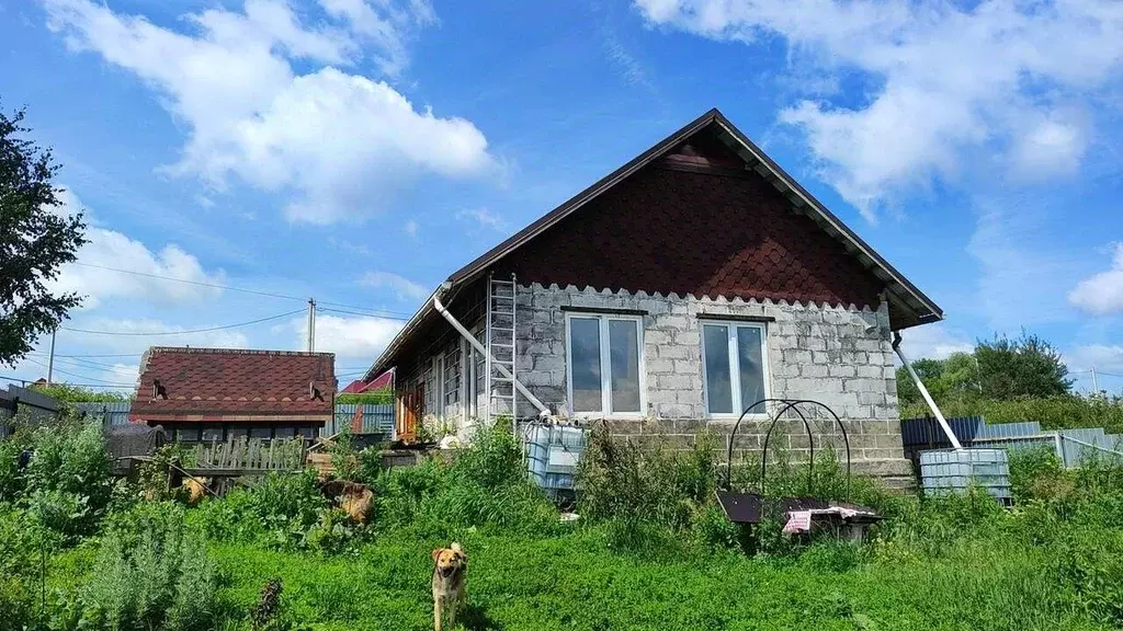 Дом в Тульская область, Новомосковск городской округ, д. Большое ... - Фото 0