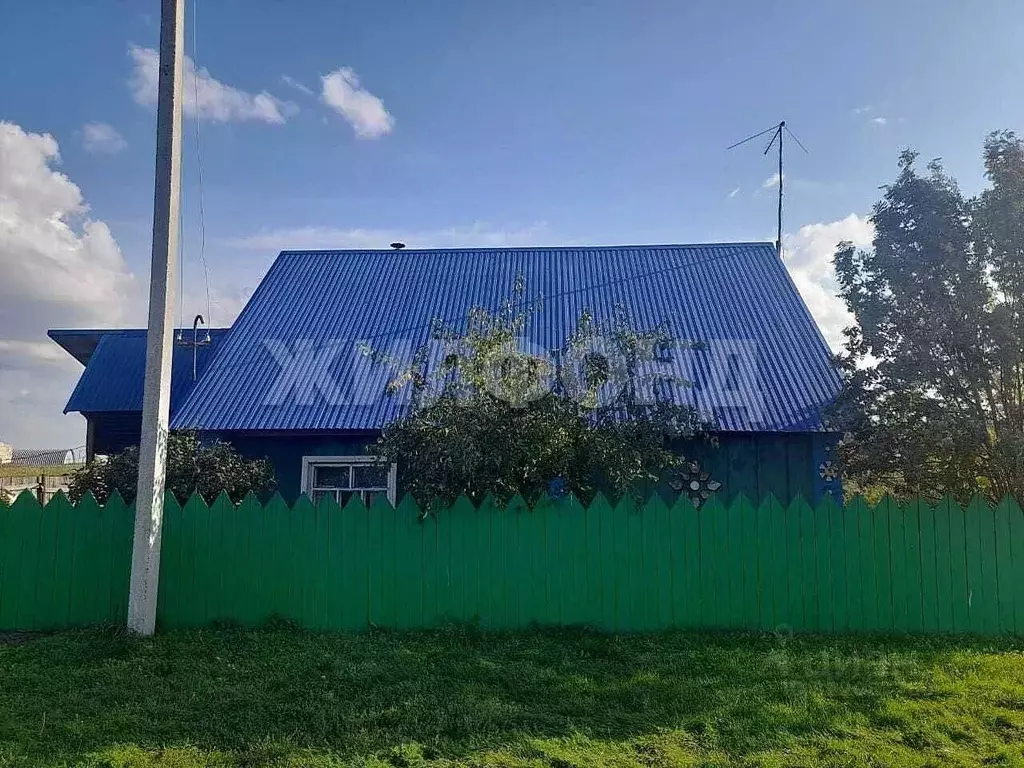 Дом в Новосибирская область, Колыванский район, с. Новотырышкино ... - Фото 0