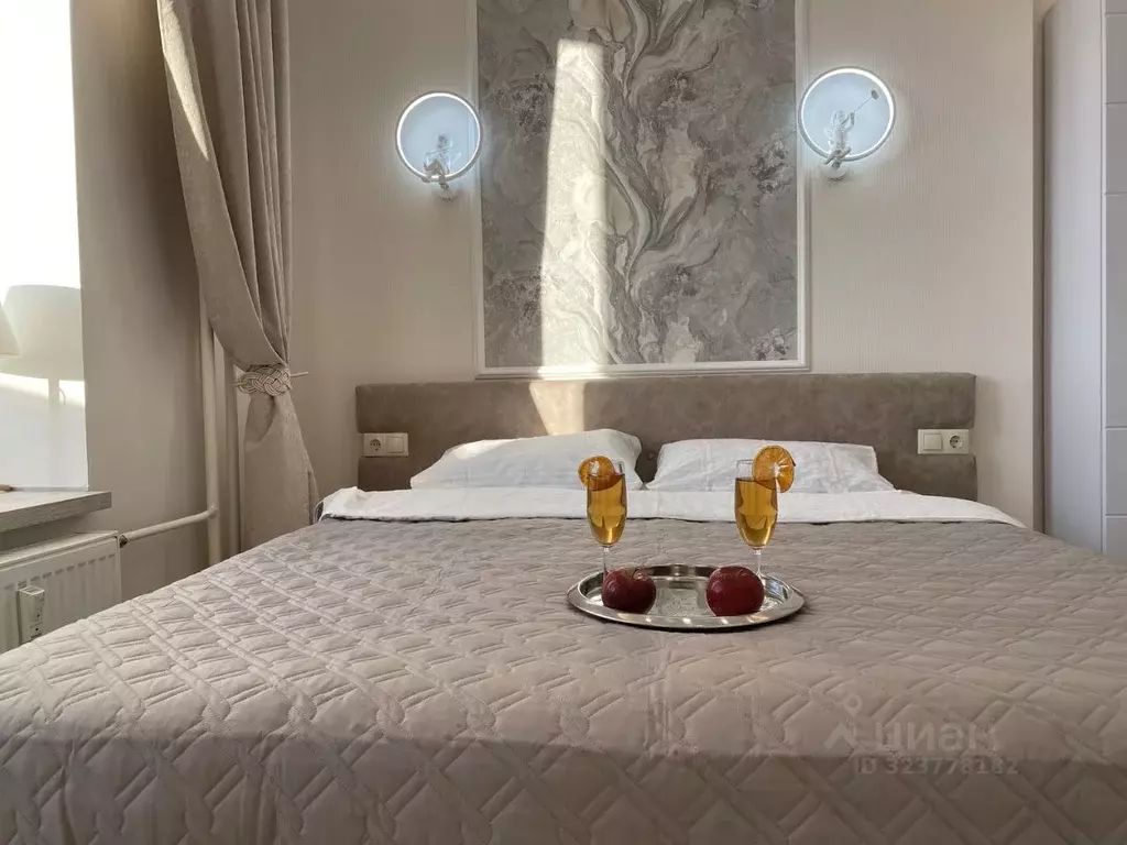 Студия Ленинградская область, Гатчина ул. Чехова, 43к1 (20.0 м) - Фото 2