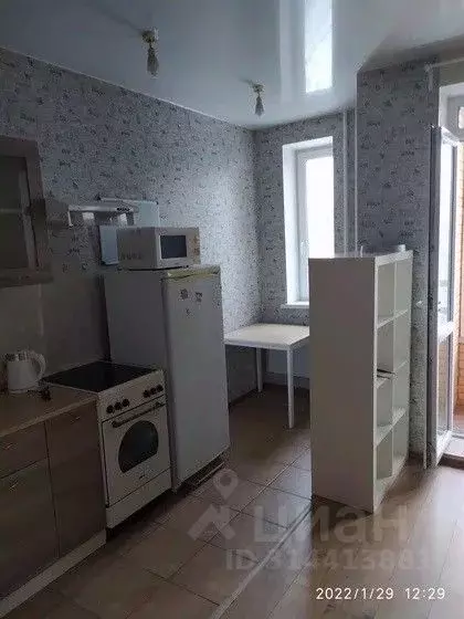 Студия Санкт-Петербург ул. Ушинского, 33к3 (30.0 м) - Фото 1