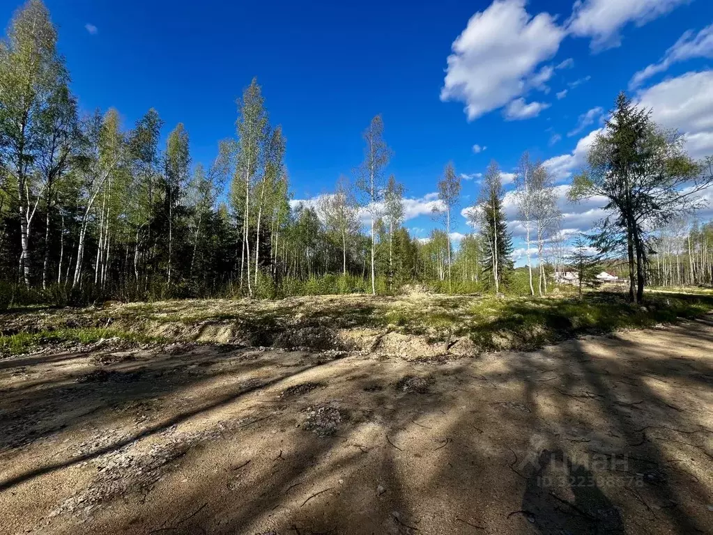 Участок в Ленинградская область, Ломоносовский район, Оржицкое с/пос, ... - Фото 2