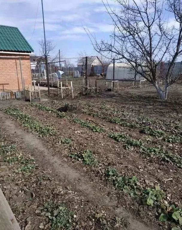 Участок в Самарская область, Самара Береза-4 СДТ, 10 (6.0 сот.) - Фото 2