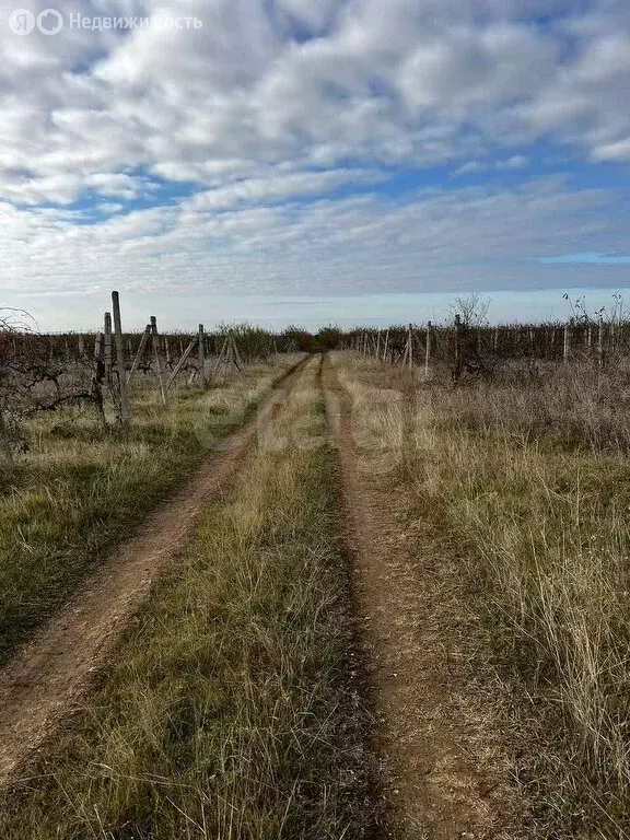 Участок в Бахчисарайский район, село Угловое (140 м) - Фото 2