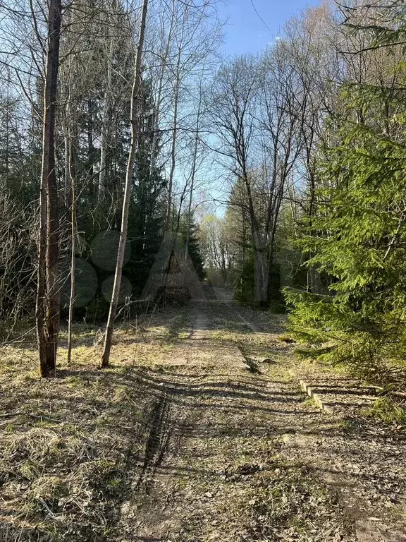 Участок 30 сот. (ИЖС) - Фото 0