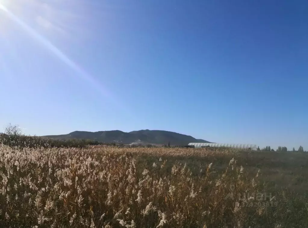 Участок в Крым, Кировский район, Абрикосовское с/пос, с. Кринички ул. ... - Фото 1