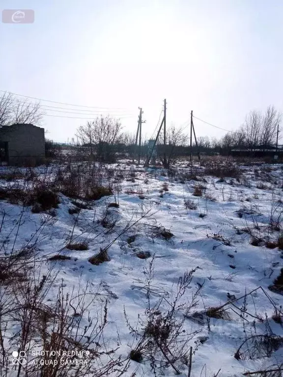 Участок в Воронежская область, Новоусманский район, Хреновское с/пос, ... - Фото 2