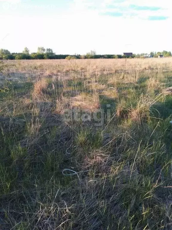 Участок в Воронеж, Дачная улица (9 м) - Фото 1