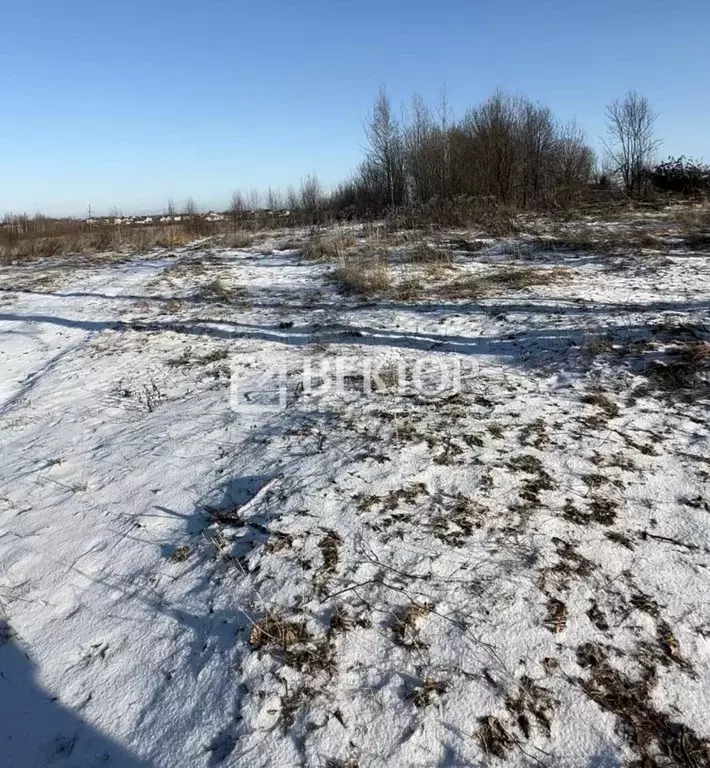 Участок в Ивановская область, Иваново ул. Дальняя Балинская, 82 (8.0 ... - Фото 0