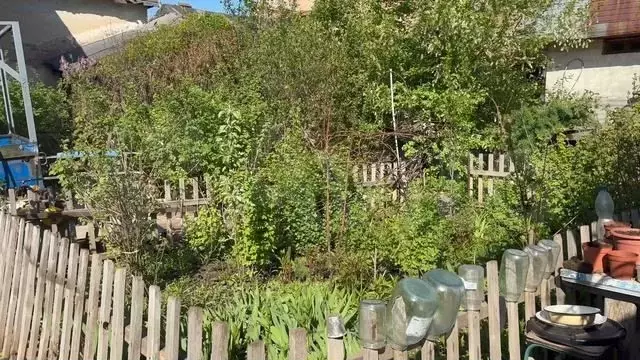 Дом 60 м на участке 6 сот. - Фото 1