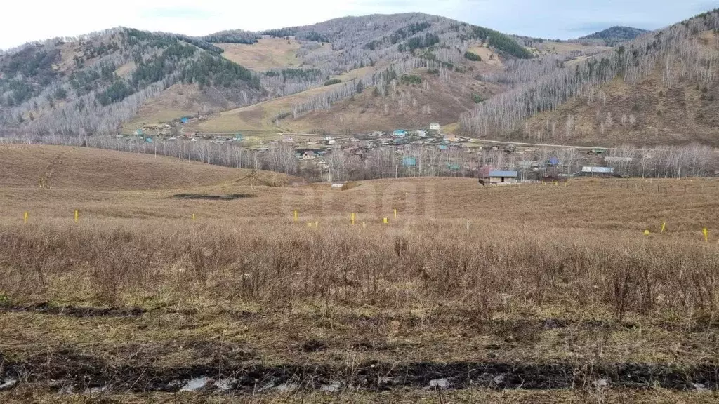 Участок в Алтай, Майминский район, с. Бирюля ул. Таркольская, 44 ... - Фото 1