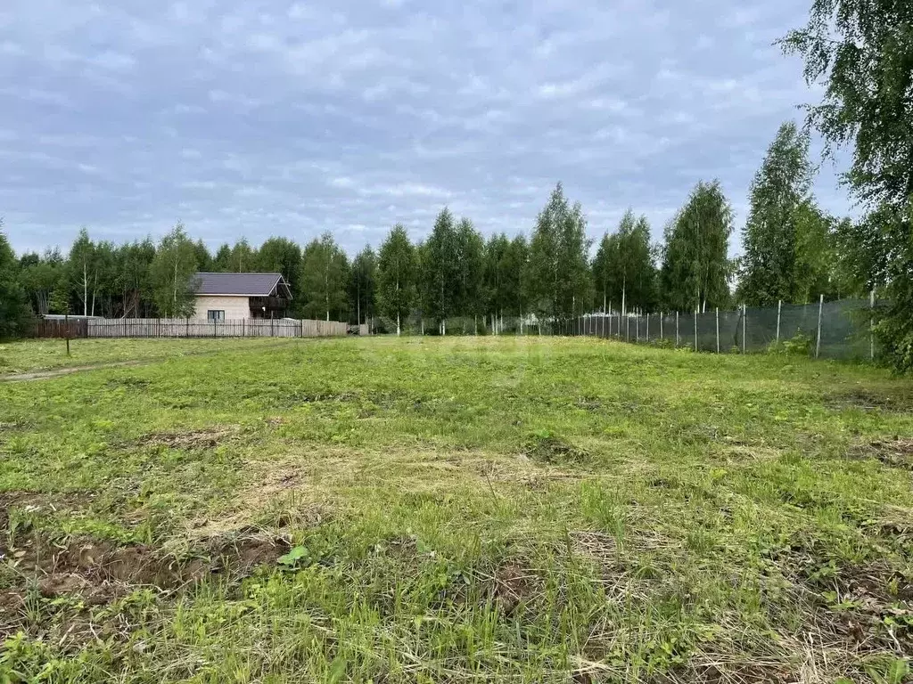Участок в Пермский край, Добрянский муниципальный округ, д. Залесная ... - Фото 2