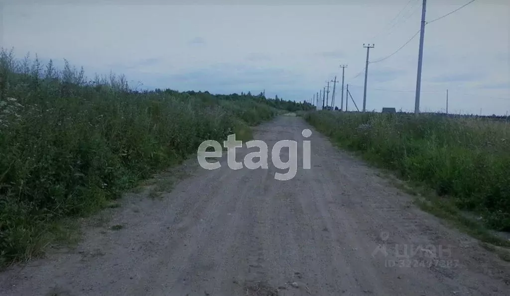 Участок в Вологодская область, Грязовецкий муниципальный округ, ... - Фото 2