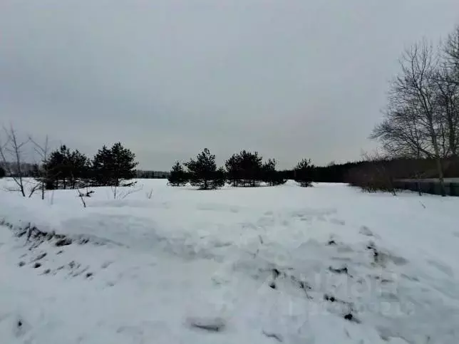 Участок в Московская область, Орехово-Зуевский городской округ, д. ... - Фото 0