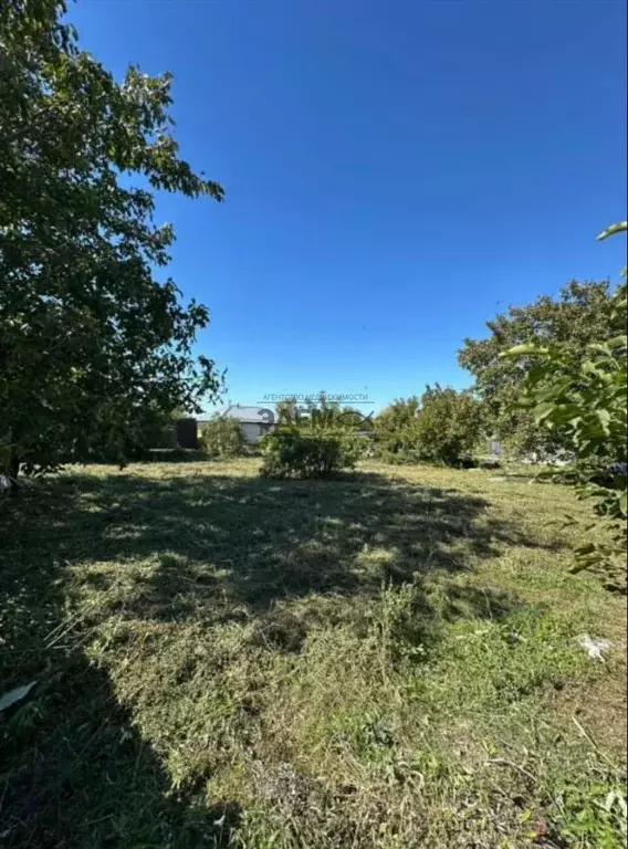 Участок в Краснодарский край, Анапа муниципальный округ, с. ... - Фото 2