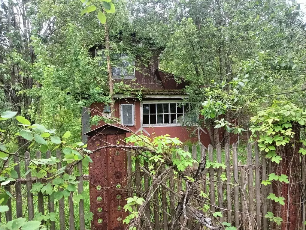 Участок в Ленинградская область, Кировский район, Синявинское ... - Фото 0