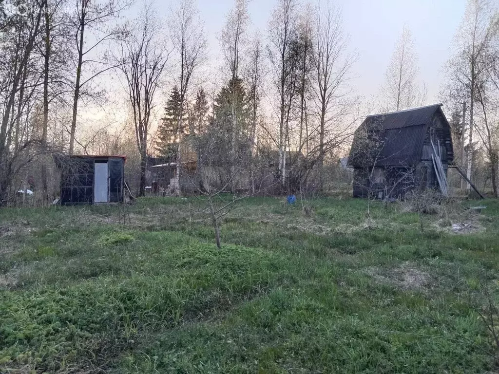 Участок в Кисельнинское сельское поселение, садоводческий массив ... - Фото 1