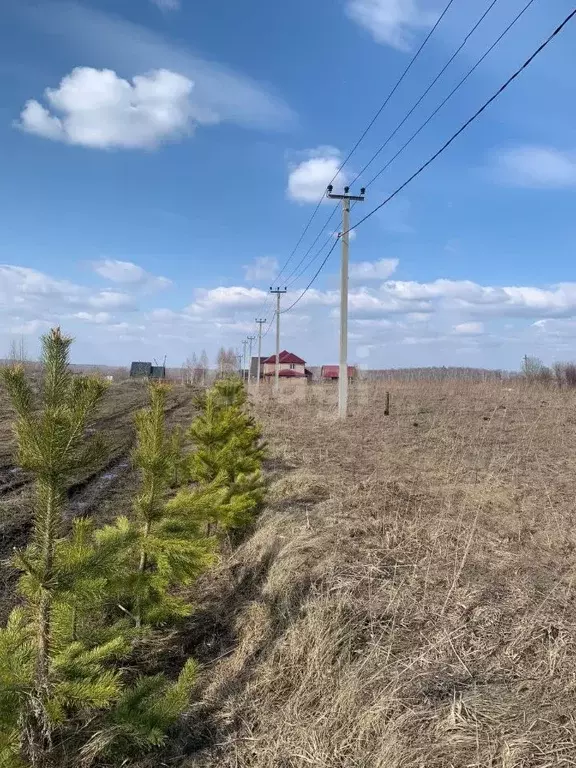 Участок в Кемеровская область, Прокопьевск ул. Звездная, 17 (10.0 ... - Фото 0