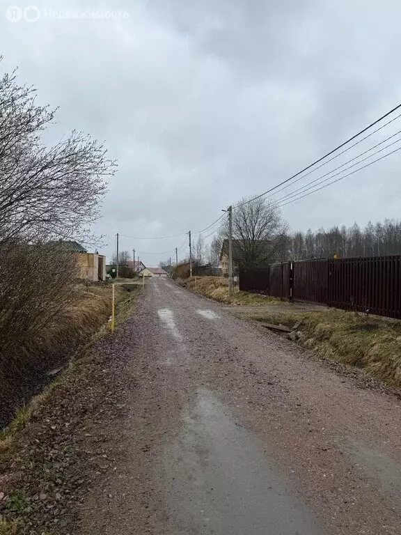 Участок в Низинское сельское поселение, территория Порзолово (24.5 м) - Фото 1