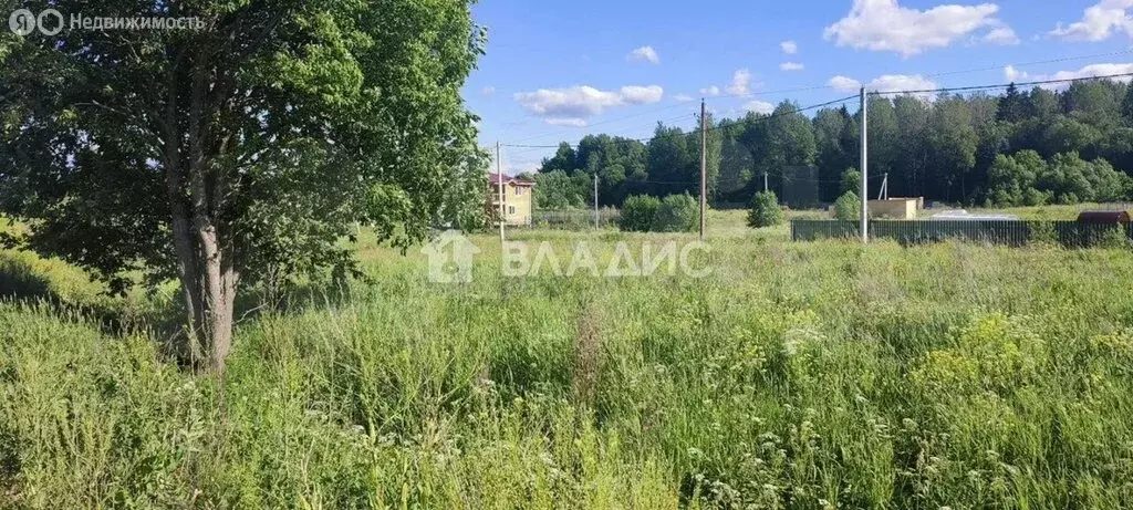 Участок в Лопухинское сельское поселение, ДНП Заостровье, Парадная ... - Фото 1