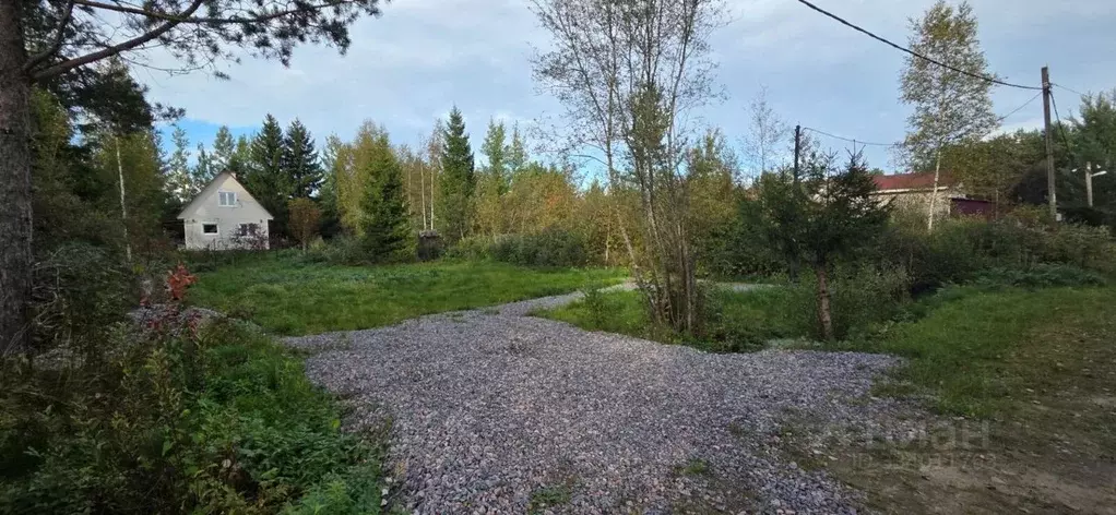 Участок в Ленинградская область, Выборгский район, Рощинское городское ... - Фото 1