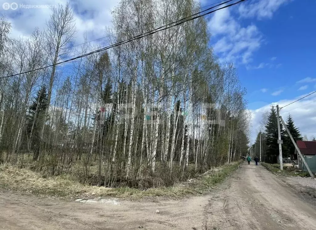 Участок в Ленинградская область, Кировское городское поселение, ... - Фото 0