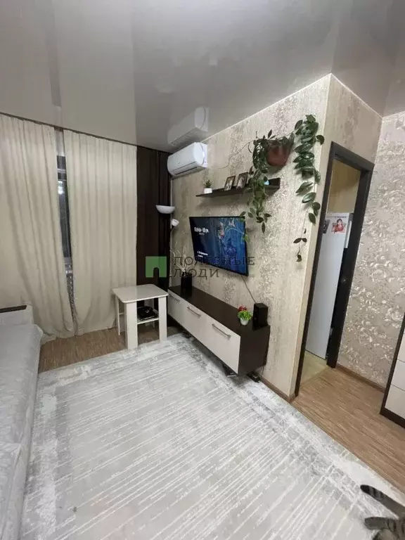 1-к кв. Курганская область, Курган ул. Красина, 21 (29.8 м) - Фото 1