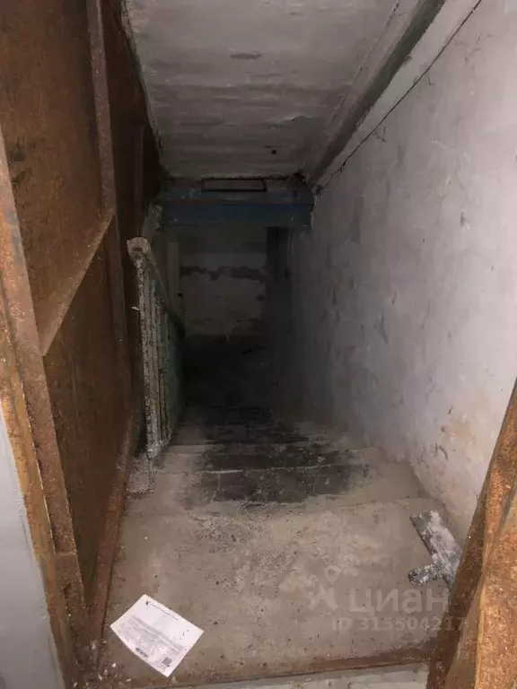 Помещение свободного назначения в Хабаровский край, Хабаровск ул. ... - Фото 0
