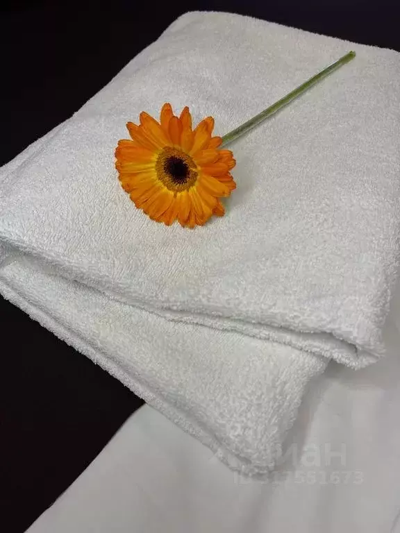 Комната Краснодарский край, Сочи Лазаревское жилрайон, ул. ... - Фото 2