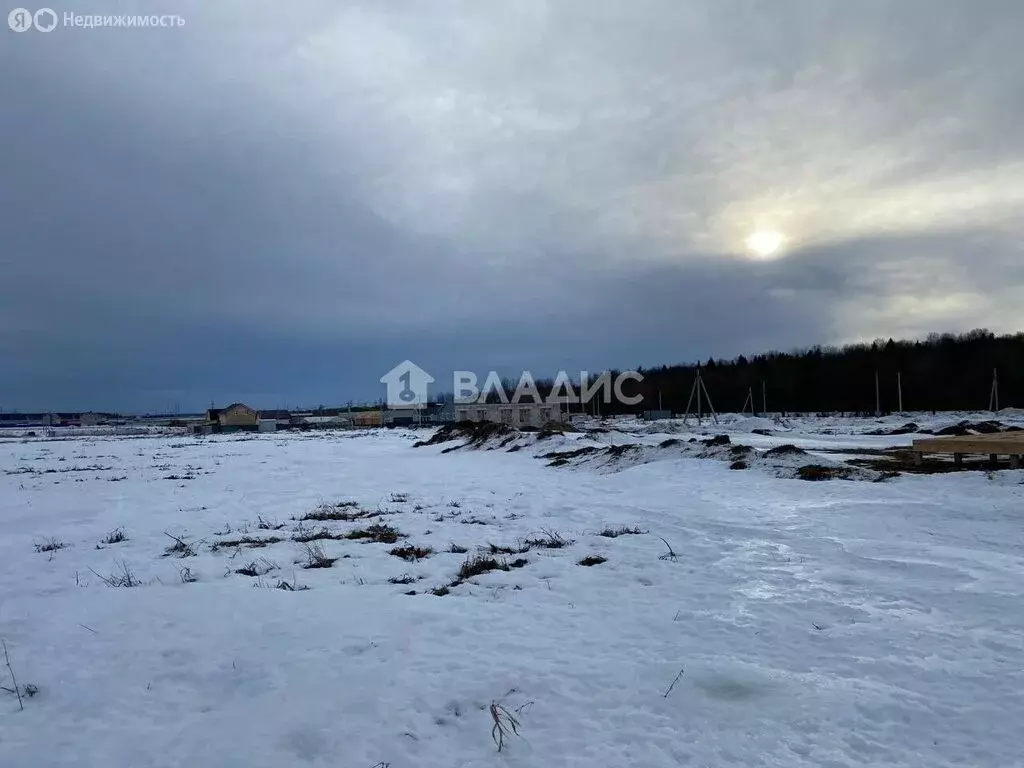 Участок в Ломоносовский район, Русско-Высоцкое сельское поселение, ... - Фото 0