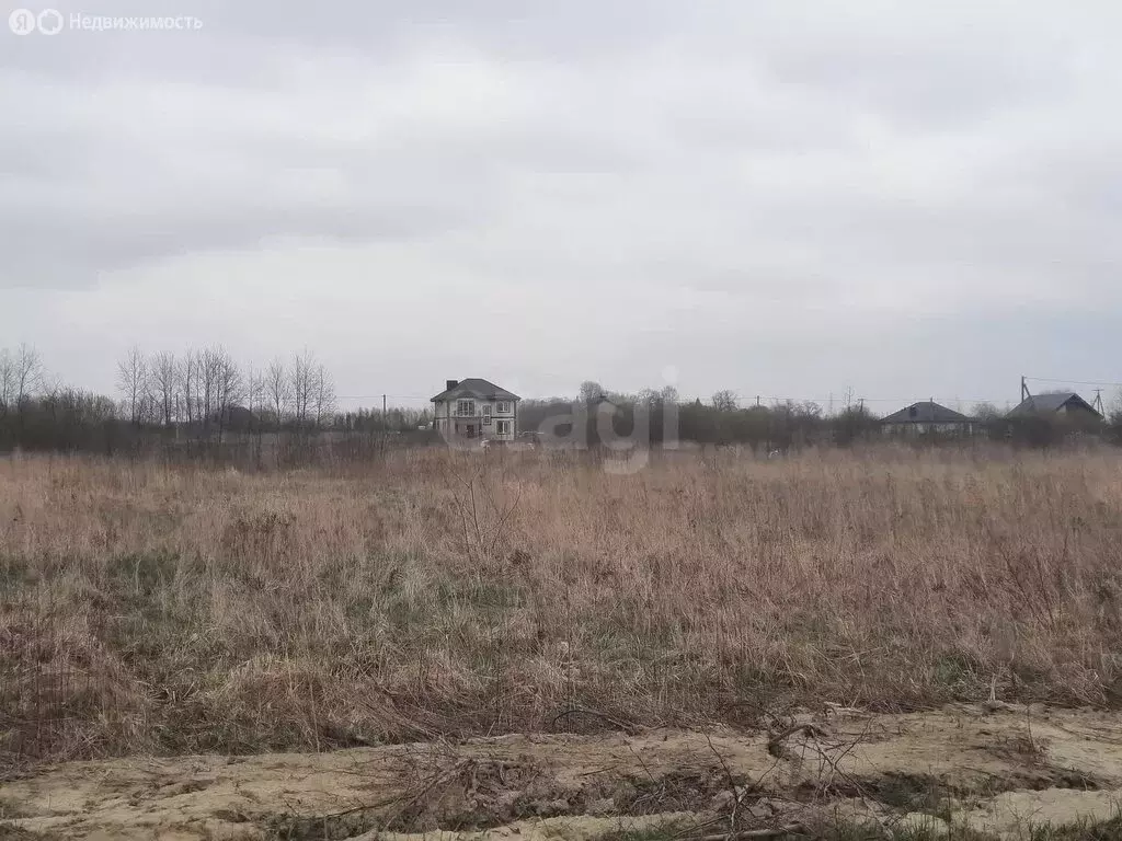 Участок в Калининградская область, посёлок городского типа Янтарный ... - Фото 1