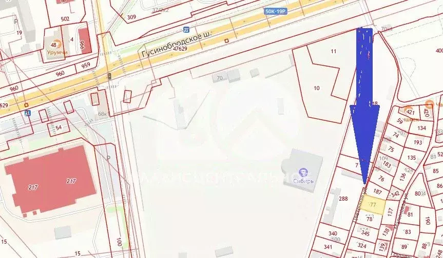 Участок в Новосибирская область, Новосибирск Труд садовое ... - Фото 1