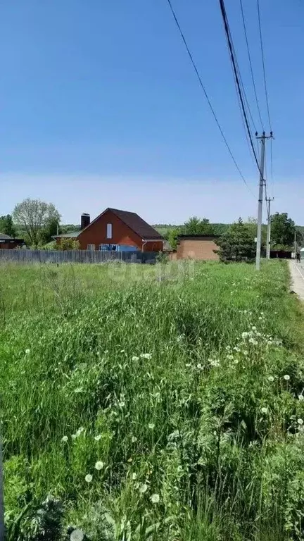 Участок в Белгородская область, Яковлевский городской округ, Красный ... - Фото 0