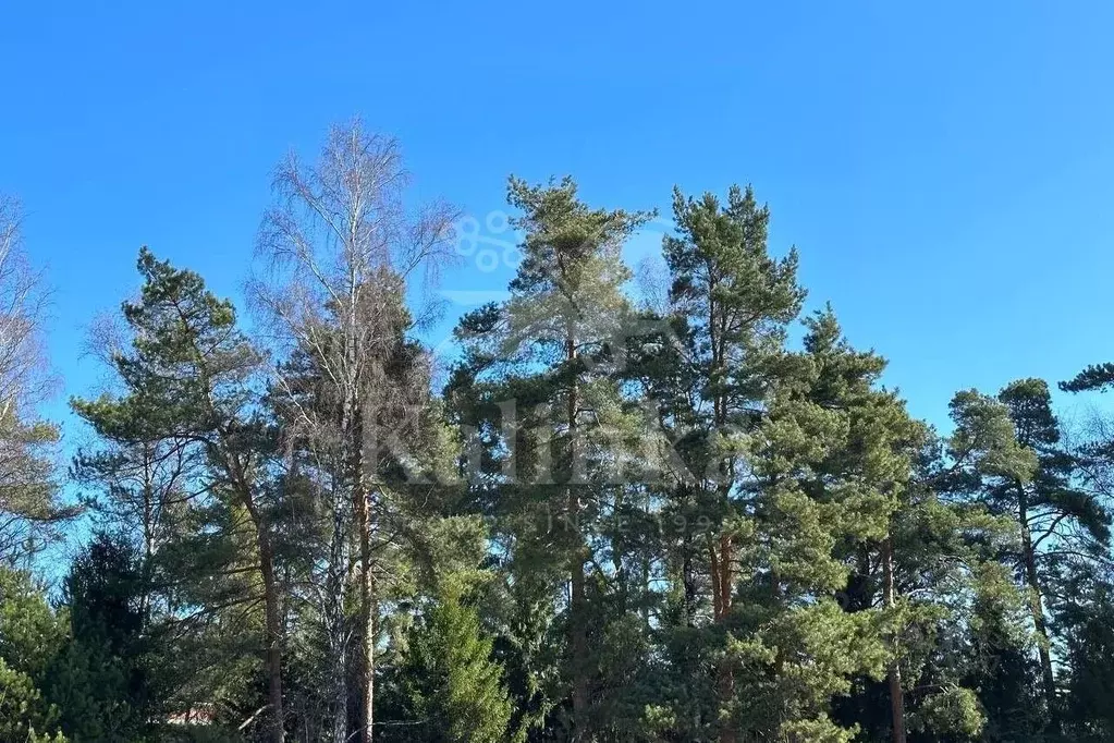 Участок в Московская область, Красногорск городской округ, д. ... - Фото 1