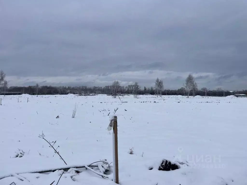 Участок в Тверская область, Калининский муниципальный округ, д. ... - Фото 2