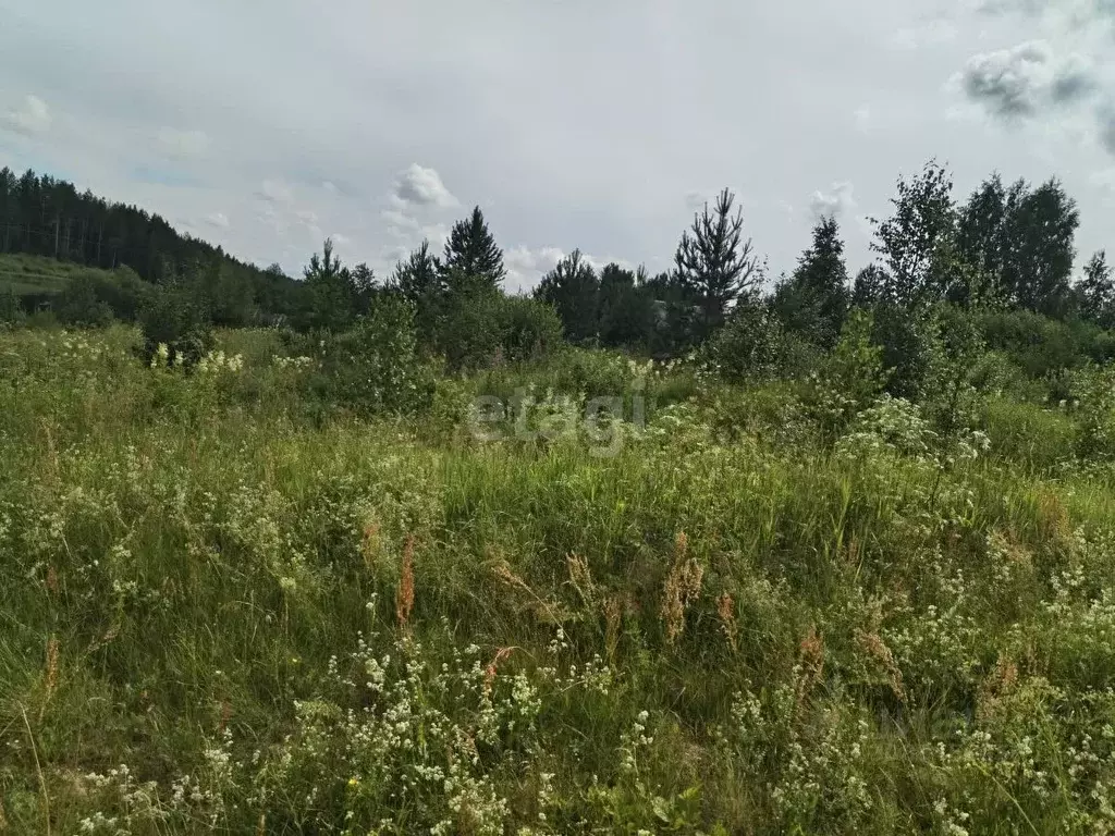 Участок в Архангельская область, Плесецкий муниципальный округ, пос. ... - Фото 1