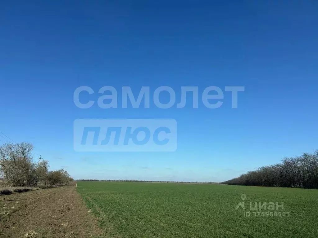 Участок в Крым, Сакский район, Ромашкинское с/пос, с. Колоски  (3.8 ... - Фото 1