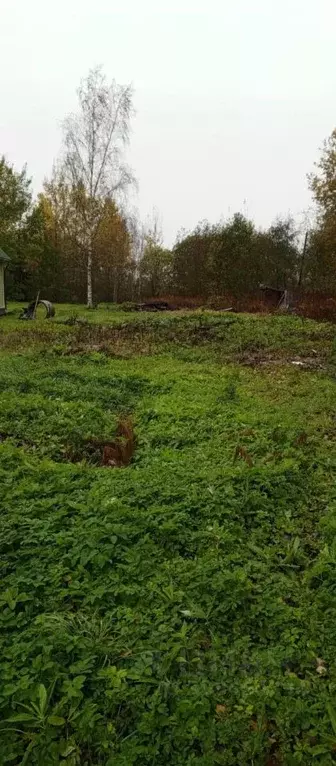 Участок в Ленинградская область, Гатчинский район, пос. Высокоключевой ... - Фото 0