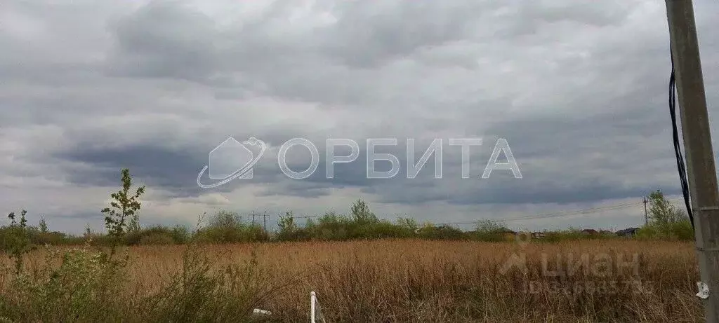 Участок в Тюменская область, Тюмень На Липовом кп, ул. Николая Егорова ... - Фото 2