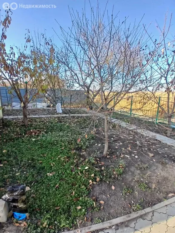 Дом в село Кулешовка, Береговая улица, 32 (250 м) - Фото 1