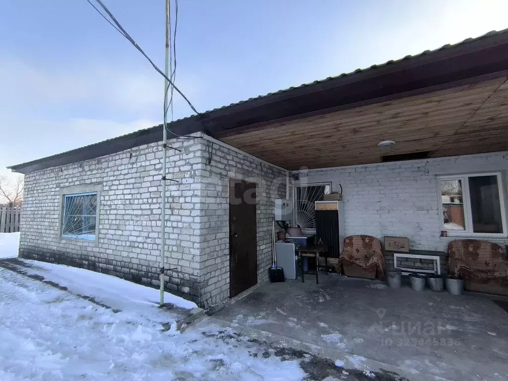 Торговая площадь в Амурская область, Благовещенский район, с. ... - Фото 2