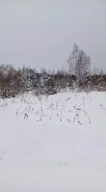 Участок в Московская область, Егорьевск муниципальный округ, д. ... - Фото 1