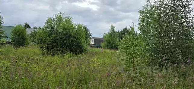 Участок в Московская область, Щелково городской округ, д. Малые ... - Фото 1