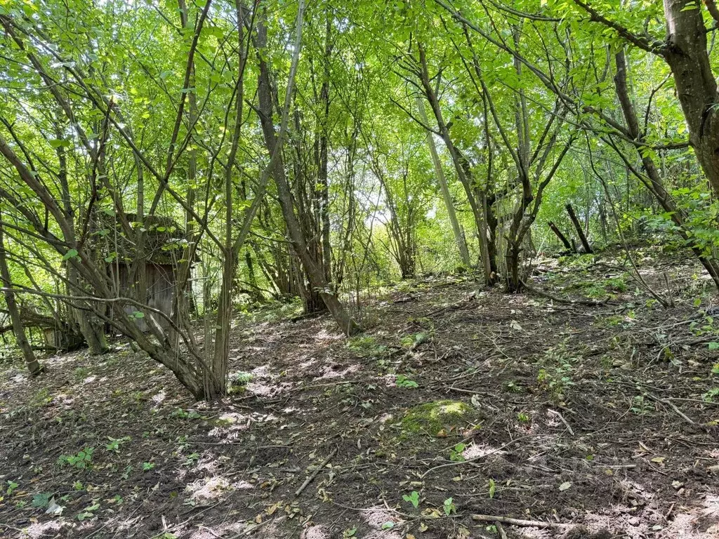 Участок в Кабардино-Балкария, Нальчик городской округ, с. Белая Речка ... - Фото 1
