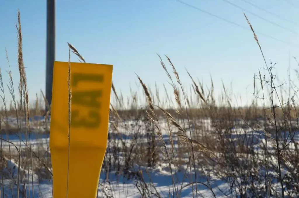 Участок в Пензенская область, с. Бессоновка проезд 3-й Российский ... - Фото 2