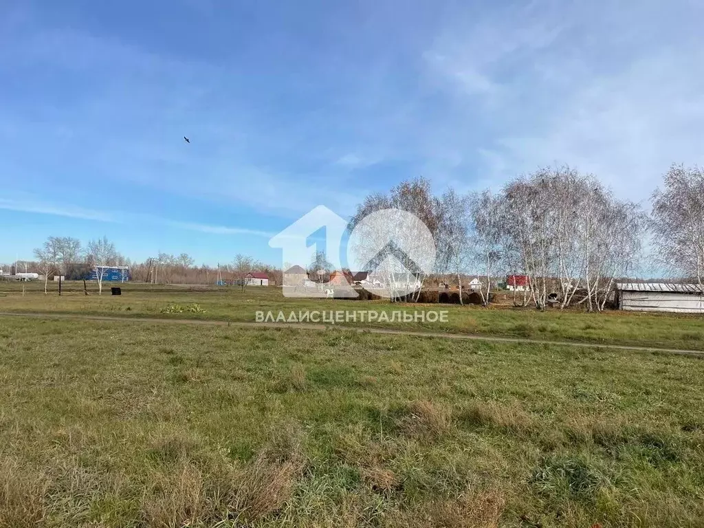 Участок в Новосибирская область, Новосибирский район, с. Ярково ... - Фото 1