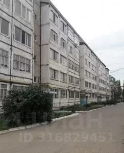 Помещение свободного назначения в Башкортостан, Янаул ул. Ленина, 26 ... - Фото 0
