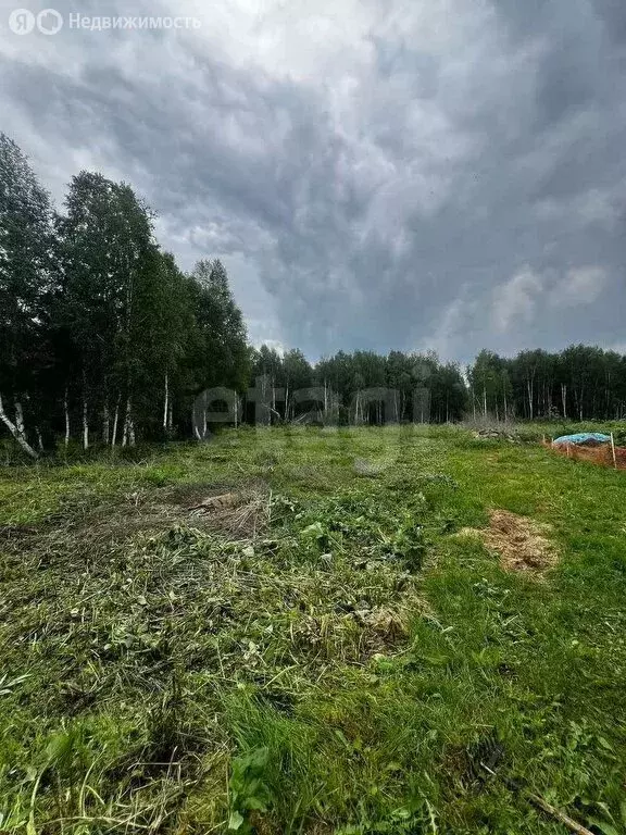 Участок в Нижнетавдинский район, товарищество собственников ... - Фото 1