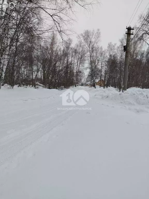 Участок в Барышевский сельсовет, садовое товарищество Экспериментатор, ... - Фото 2
