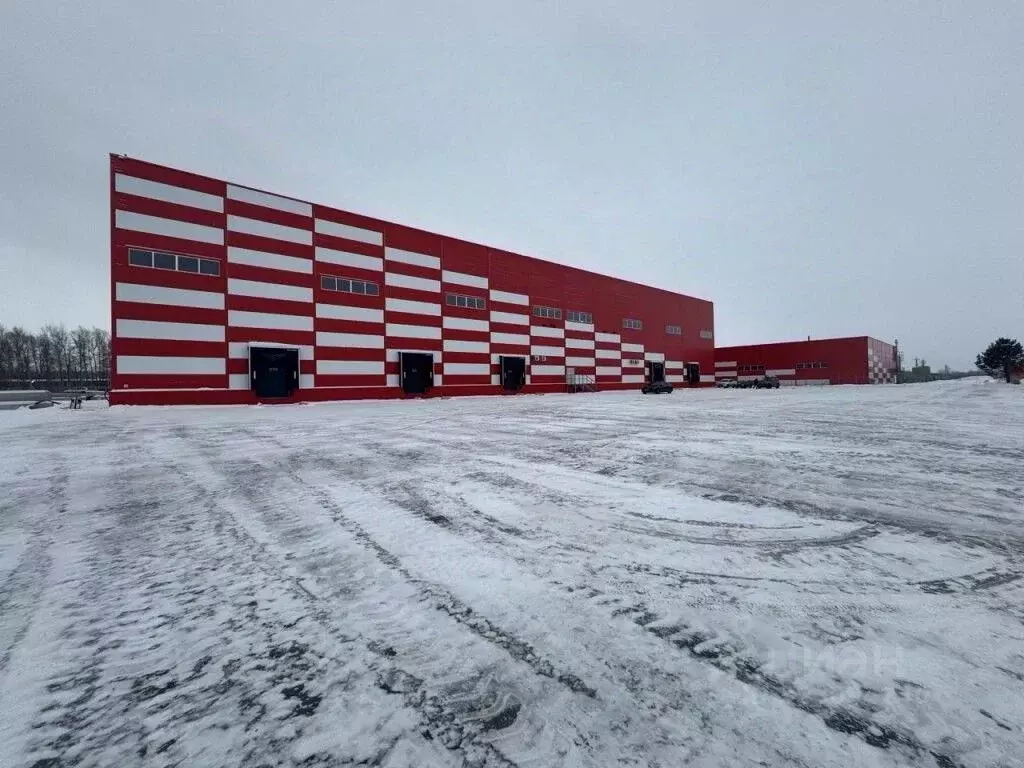 Склад в Новосибирская область, Обь тракт Омский, 19 (5040 м) - Фото 2